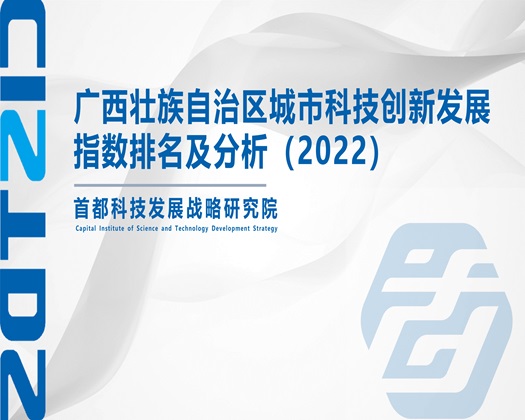 www.操B【成果发布】广西壮族自治区城市科技创新发展指数排名及分析（2022）